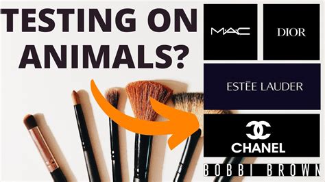 does dior do animal testing.